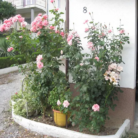 Apartament Yasica *